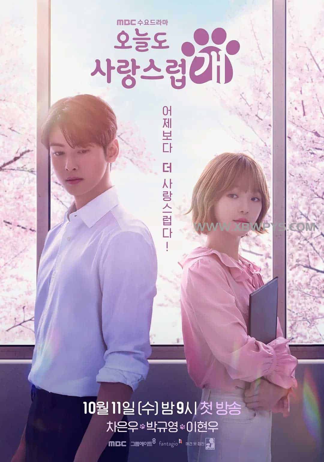 今天也很可爱的狗 오늘도 사랑스럽개 (2023)中文字幕1080p-边缘人的资源库