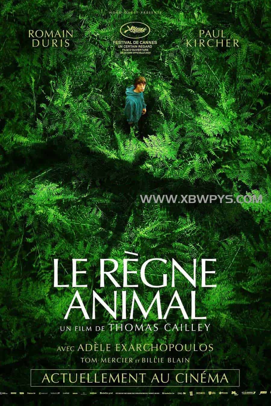 动物王国 Le règne animal (2023)中文字幕1080p-边缘人的资源库