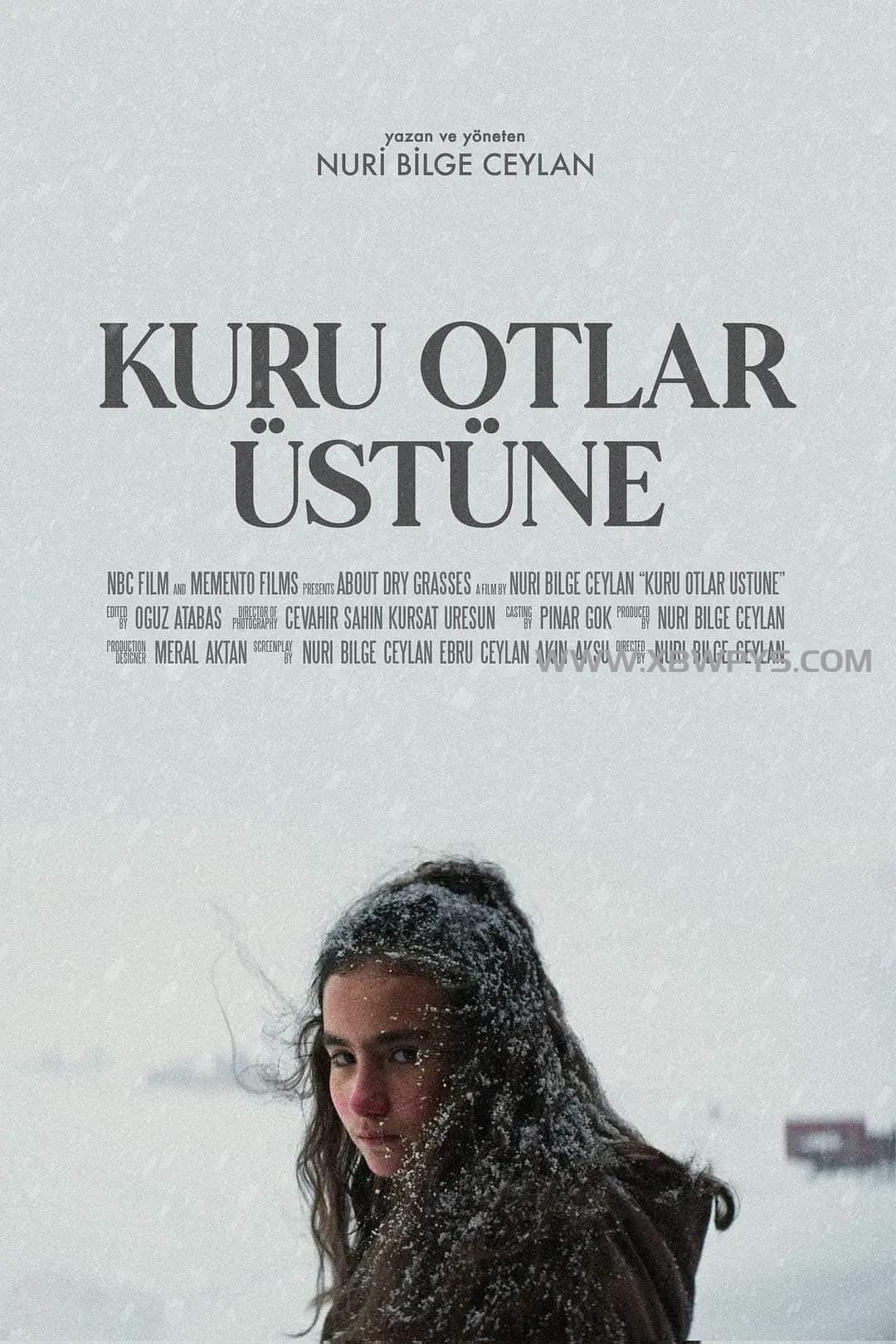 枯草 Kuru Otlar Üstüne (2023)中文字幕1080p-边缘人的资源库