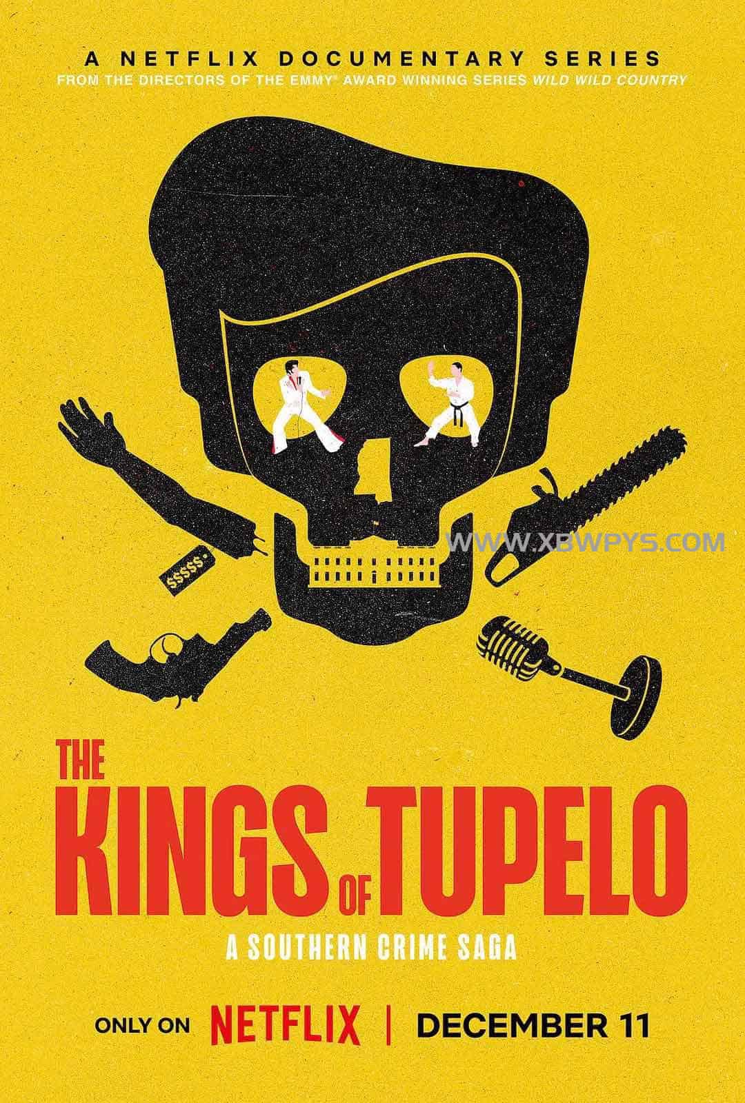 图珀洛之王：南部犯罪传奇 The Kings of Tupelo: A Southern Crime Saga (2024)-边缘人的资源库